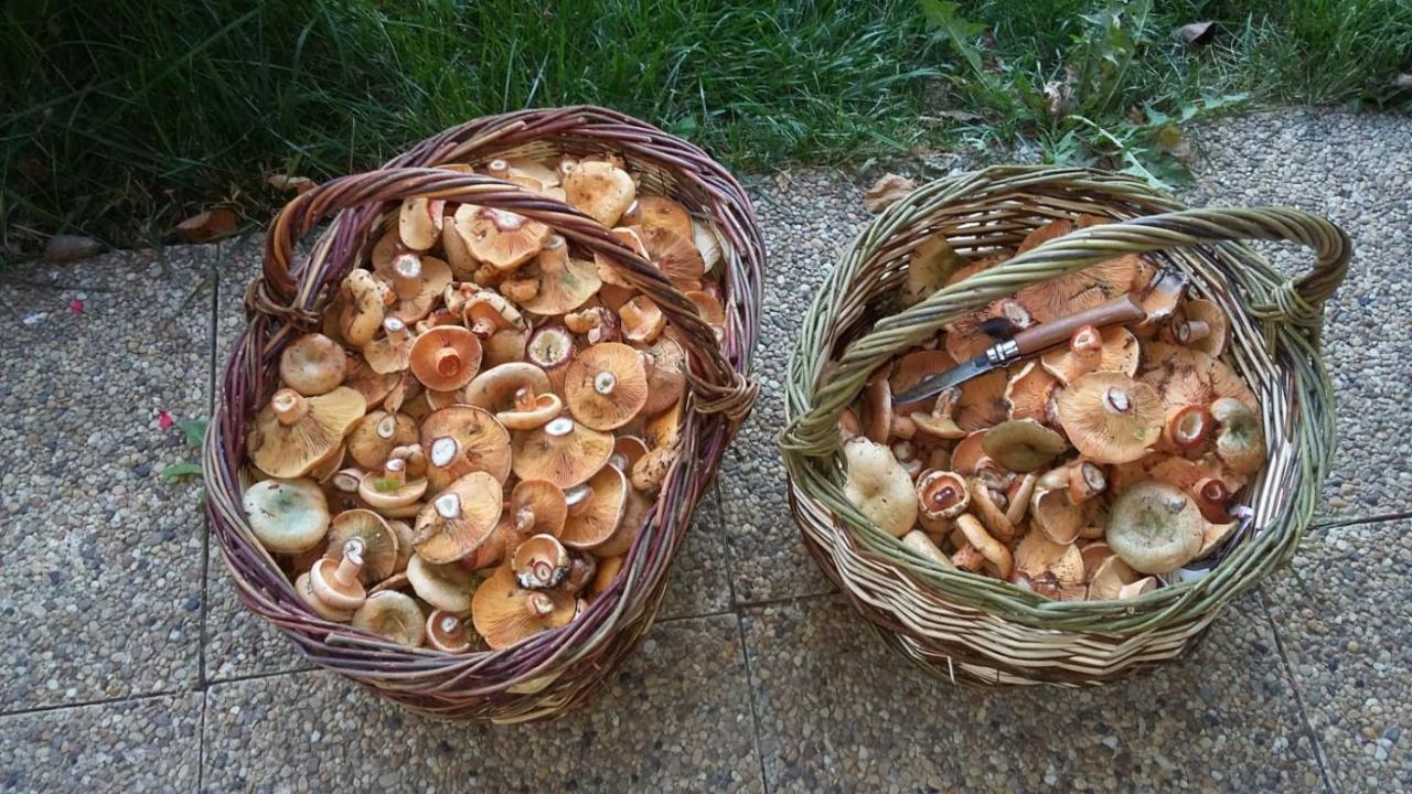 مبيت وإفطار سيرْ La Reyniere المظهر الخارجي الصورة